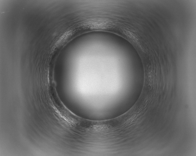 X0000052550686200507081610