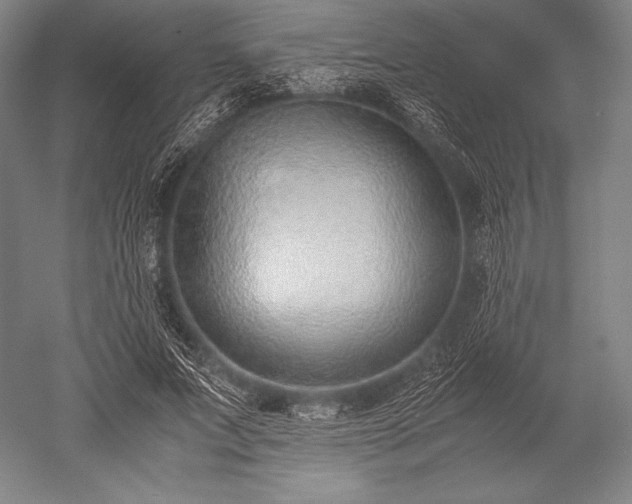 X0000052550687200507081610