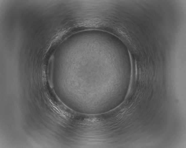 X0000052550688200507081610