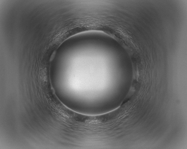 X0000052550689200507081610