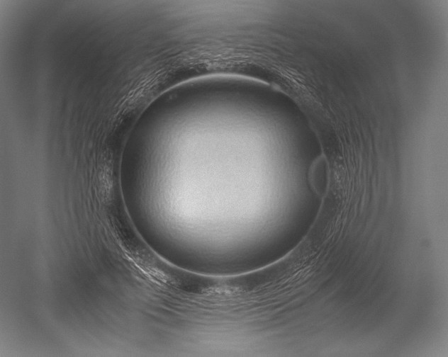 X0000052550691200507081610