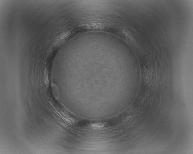 X0000052550692200507081610