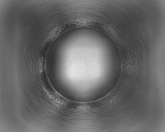 X0000052550694200507081610