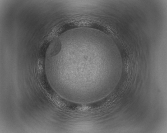 X0000052550695200507081610