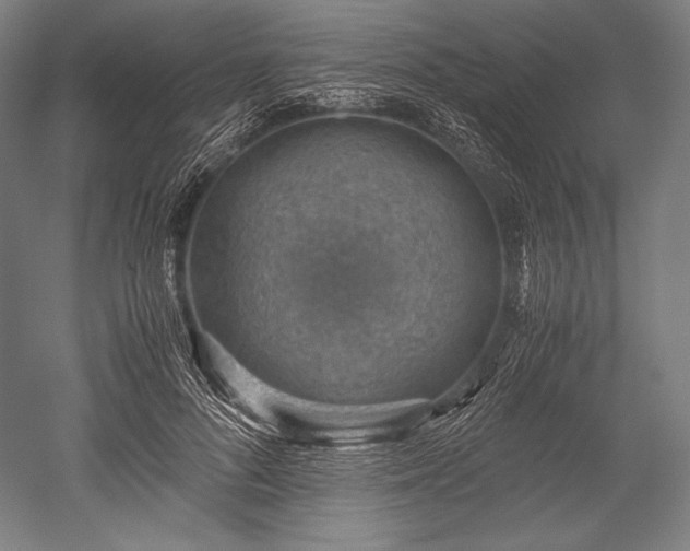 X0000052550696200507081610