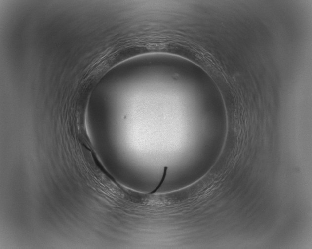 X0000052550697200507081610