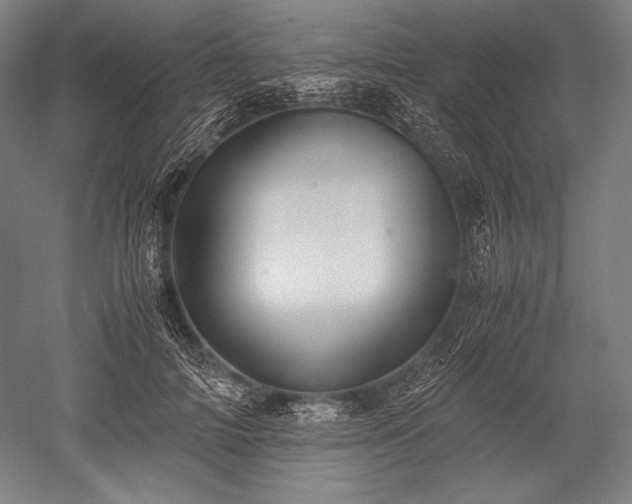 X0000052550698200507081610