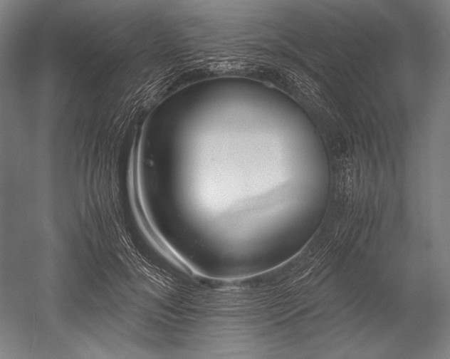 X0000052550700200507081610