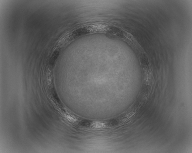 X0000052550701200507081610