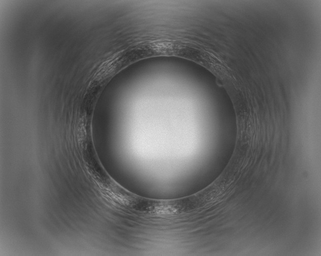 X0000052550702200507081609