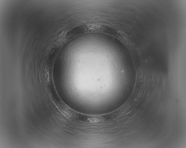 X0000052550703200507081609