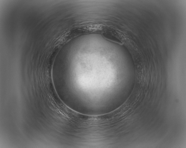 X0000052550704200507081609