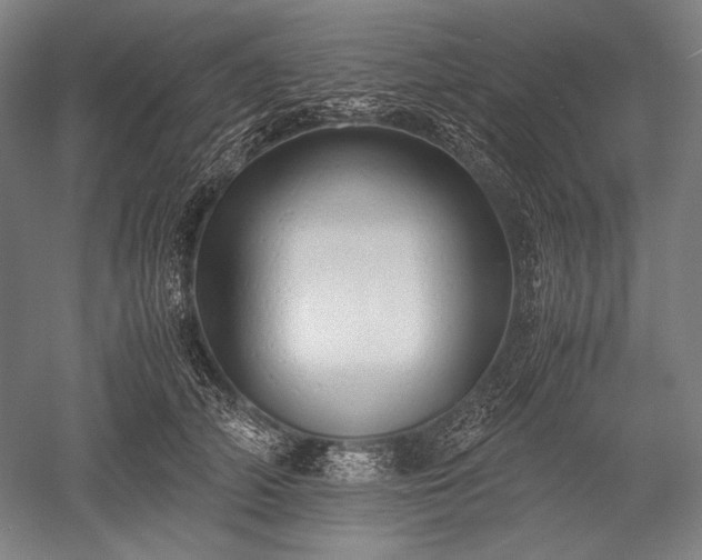 X0000052550706200507081609