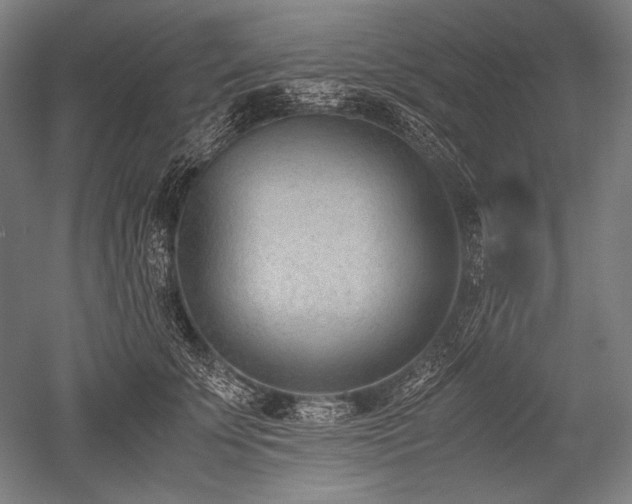 X0000052550707200507081609