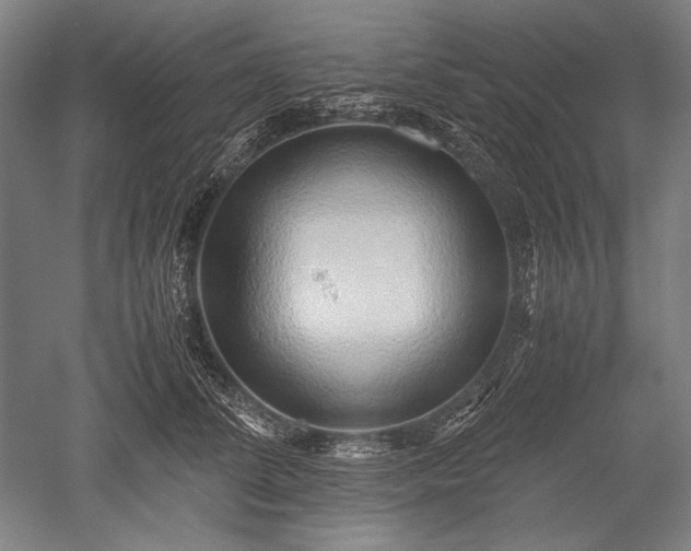 X0000052550708200507081609