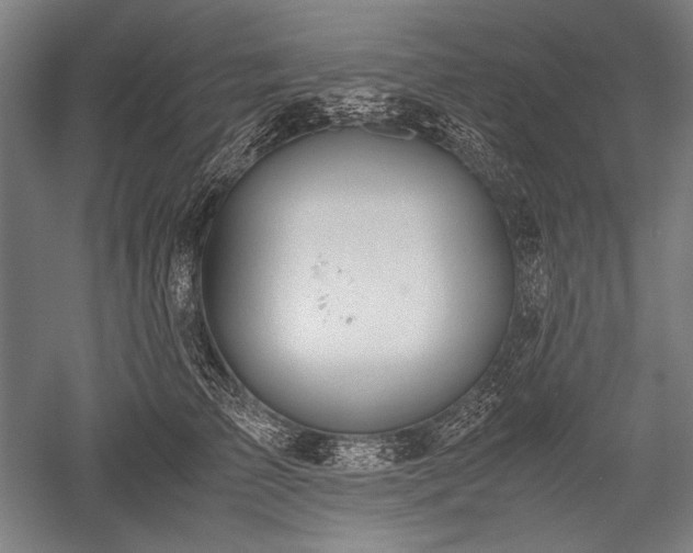 X0000052550709200507081609