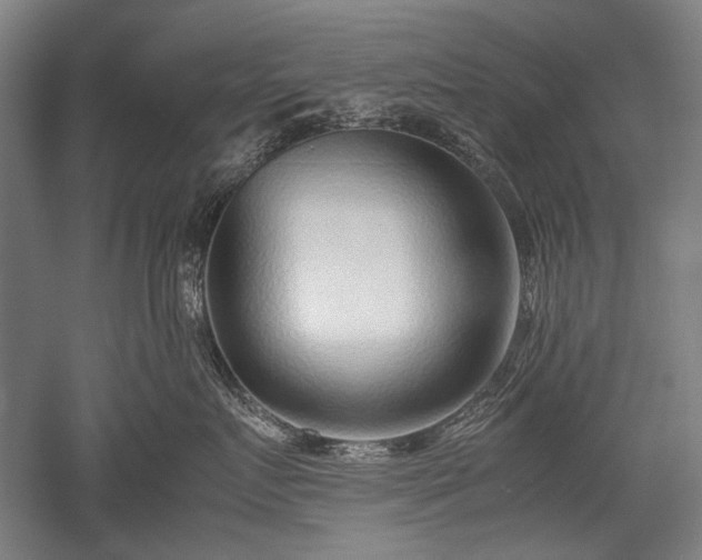 X0000052550719200507081609