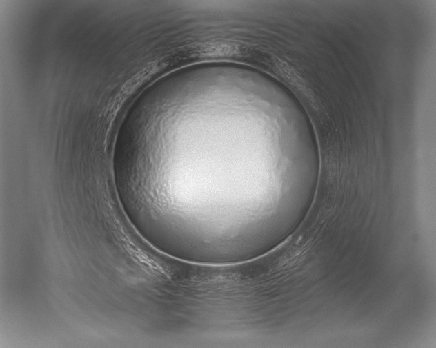 X0000052550721200507081608