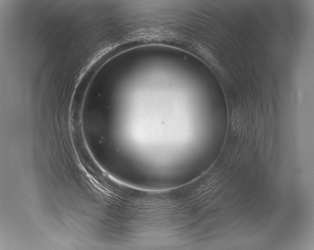 X0000052550722200507081608