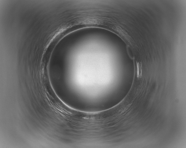 X0000052550723200507081608