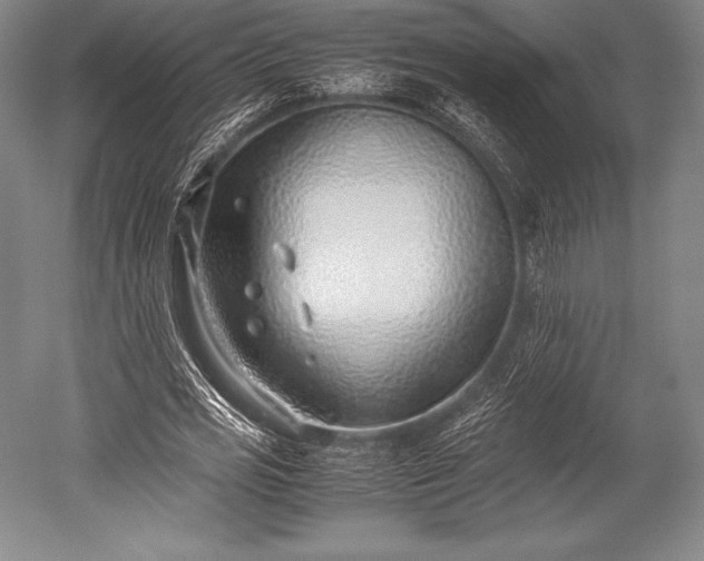 X0000052550725200507081608