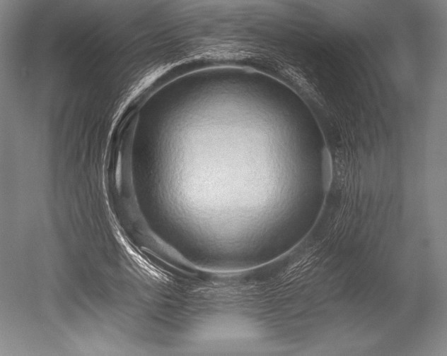 X0000052550726200507081608