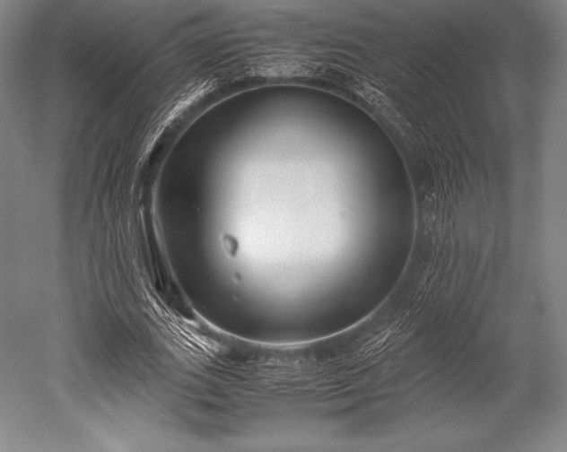 X0000052550727200507081608