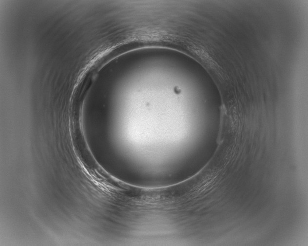 X0000052550728200507081608