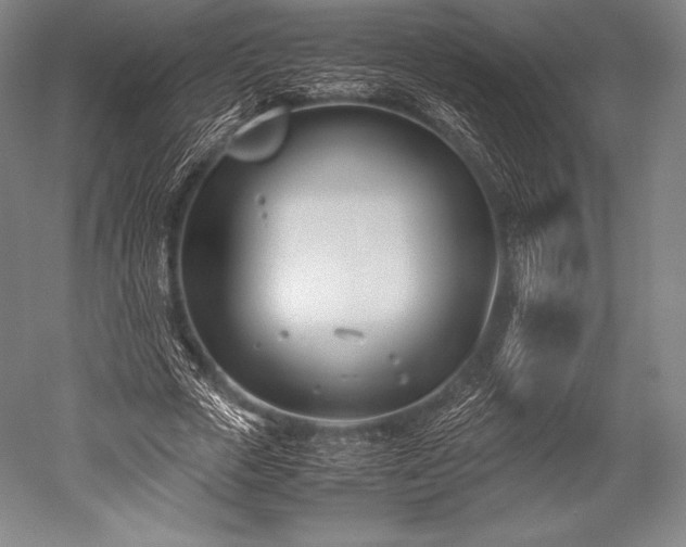 X0000052550729200507081609