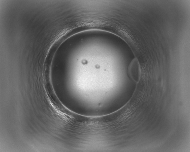 X0000052550730200507081609