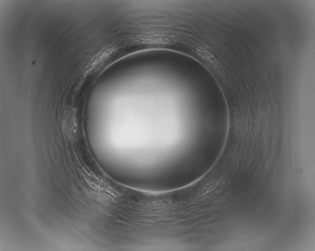 X0000052550731200507081609