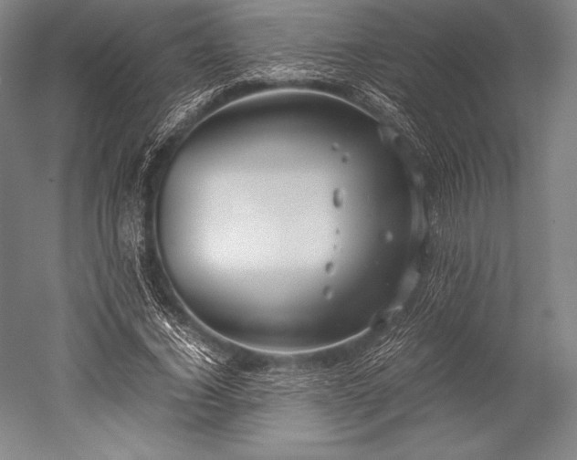 X0000052550732200507081609