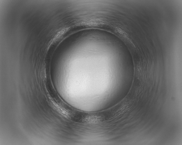 X0000052550734200507081609