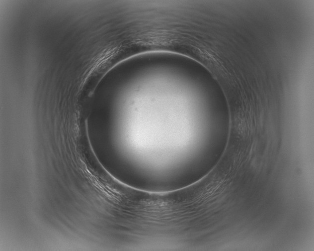 X0000052550735200507081609