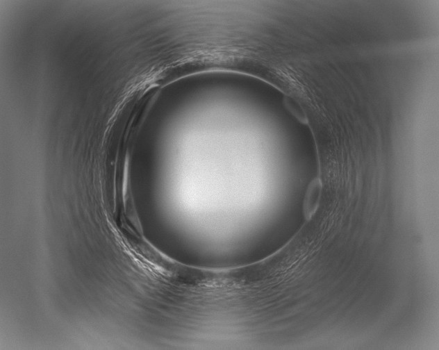 X0000052550736200507081609