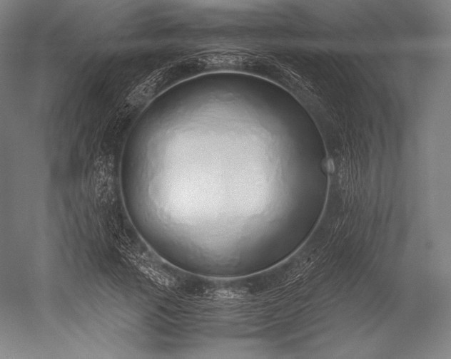 X0000052550737200507081609