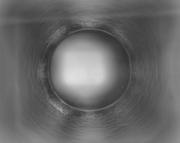 X0000052550738200507081609