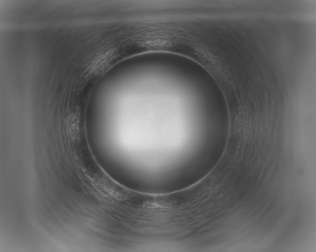 X0000052550739200507081609