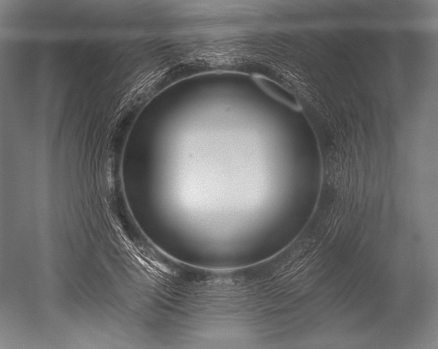 X0000052550740200507081609