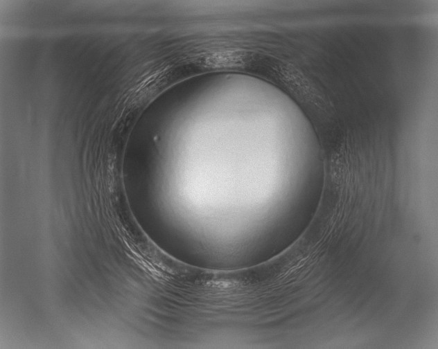 X0000052550741200507081609