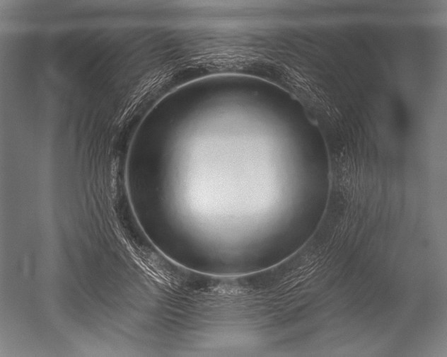 X0000052550742200507081609