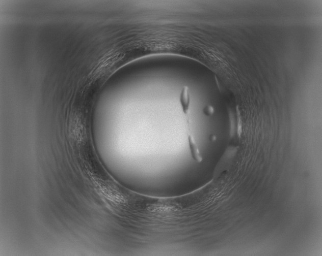 X0000052550743200507081609