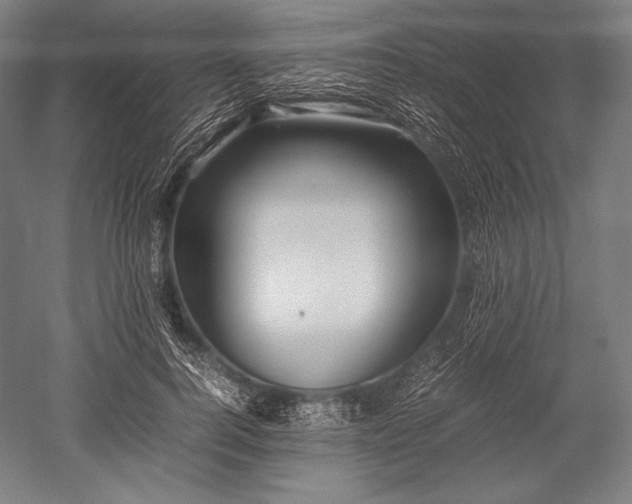 X0000052550744200507081609