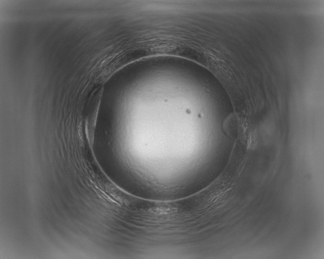 X0000052550745200507081609