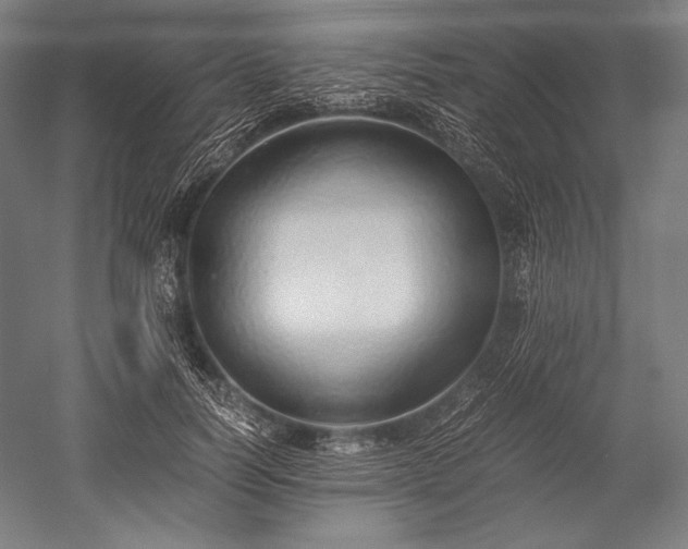 X0000052550746200507081609