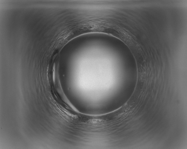 X0000052550748200507081609