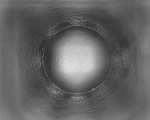 X0000052550749200507081609