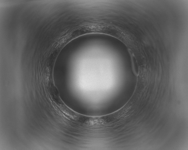 X0000052550752200507081609