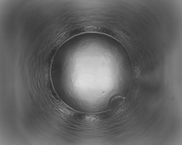 X0000052550753200507081609