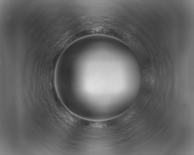 X0000052550754200507081609